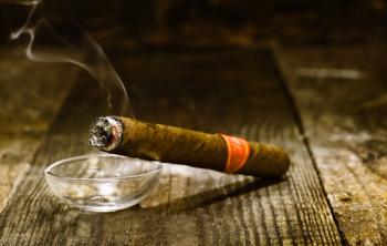GC-MS and LC-MS/MS Profile Cigar Tobacco Quality