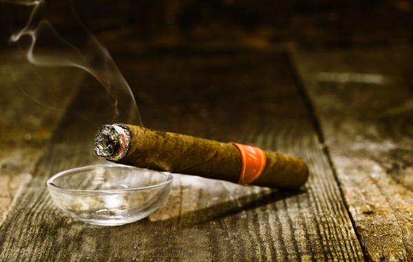 GC-MS and LC-MS/MS Profile Cigar Tobacco Quality