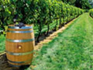 Determination of Pesticides in Red Wine by QuEChERS Extraction, Novel Cleanup with Rapid Mini-cartridge Filtration, and LC–MS-MS Detection