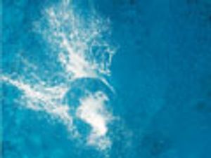 Screening of Pollutants in Water Samples and Extracts from Passive Samplers using LC–MS and GC–MS