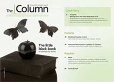 The Column-06-21-2010