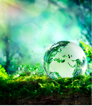 Evaluating the Goodness of Instrument Calibration for Chromatography Procedures