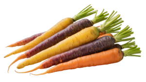 HPLC and Image Analysis of Carrot Pigments