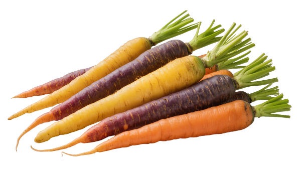HPLC and Image Analysis of Carrot Pigments