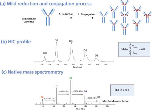 LC/MS analysis of Polysorbate 20 in Antibody Drug Complex Preparation (ODP2  HP-2B）