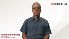 Pyrolysis in Art Conservation: Michael Schilling on Py-GC/MS for Organic Material Analysis