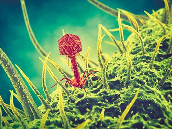 Nanochemical Resonators.jpg