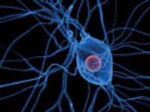 Introduction to SPME for In Vivo Analysis