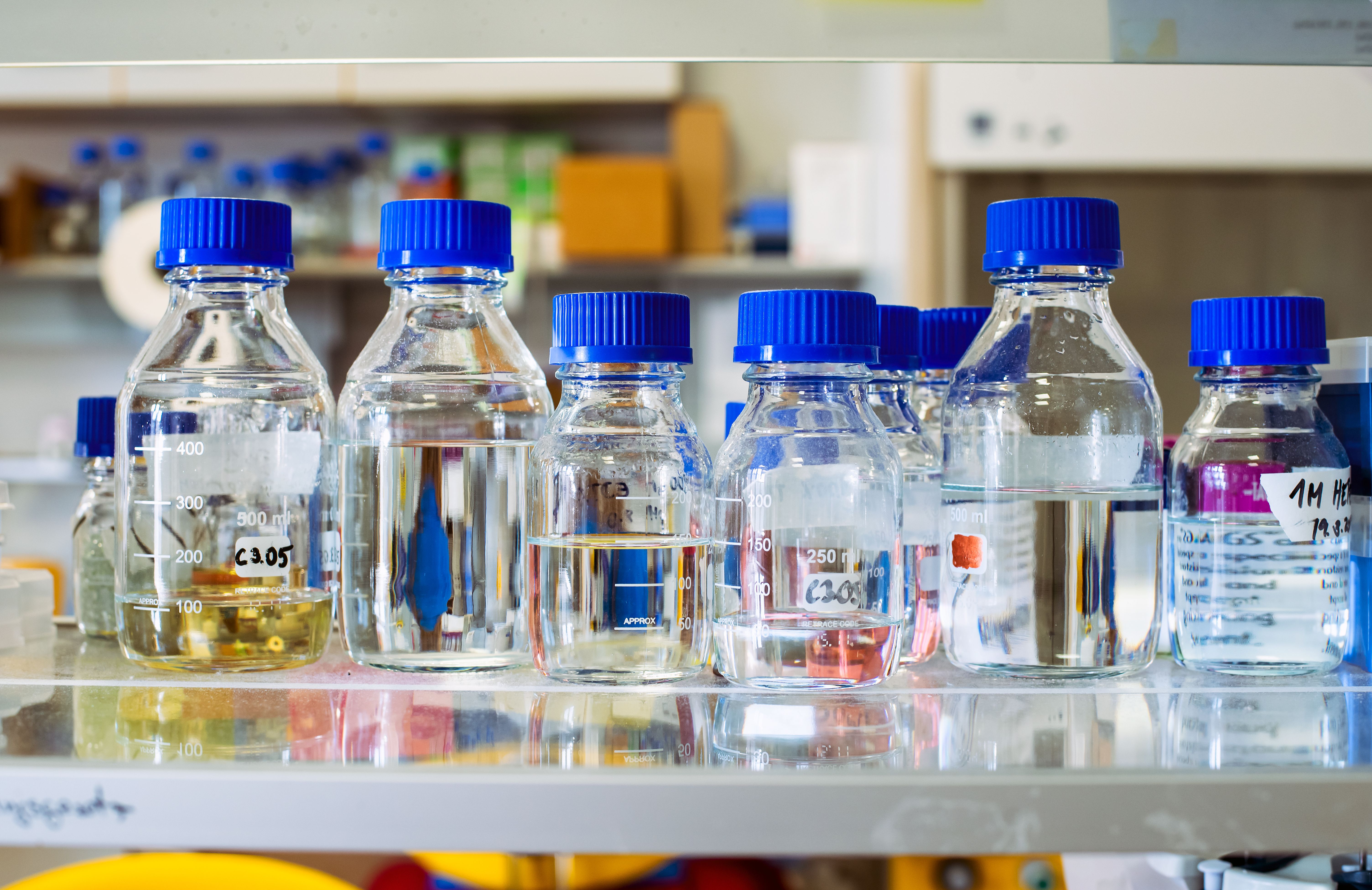 Stock solutions for biochemistry experiments, bottles with blue cap are on a shelf, blurry background | Image Credit: © Forance - stock.adobe.com