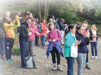 News ChromSoc Grass Backdrop.jpg