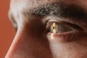 Layer-Resolved Corneal Proteomics Enabled by Laser Ablation Sampling and LC–MS/MS 