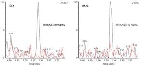 BAVDM Figure 3-1.jpg