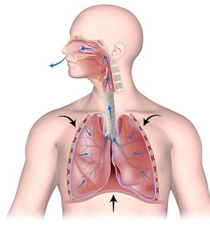 Detecting Biomarkers in Breath using GC–MS