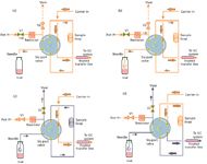 Headspace Transfer Line Headspace Sampling: Instrumentation