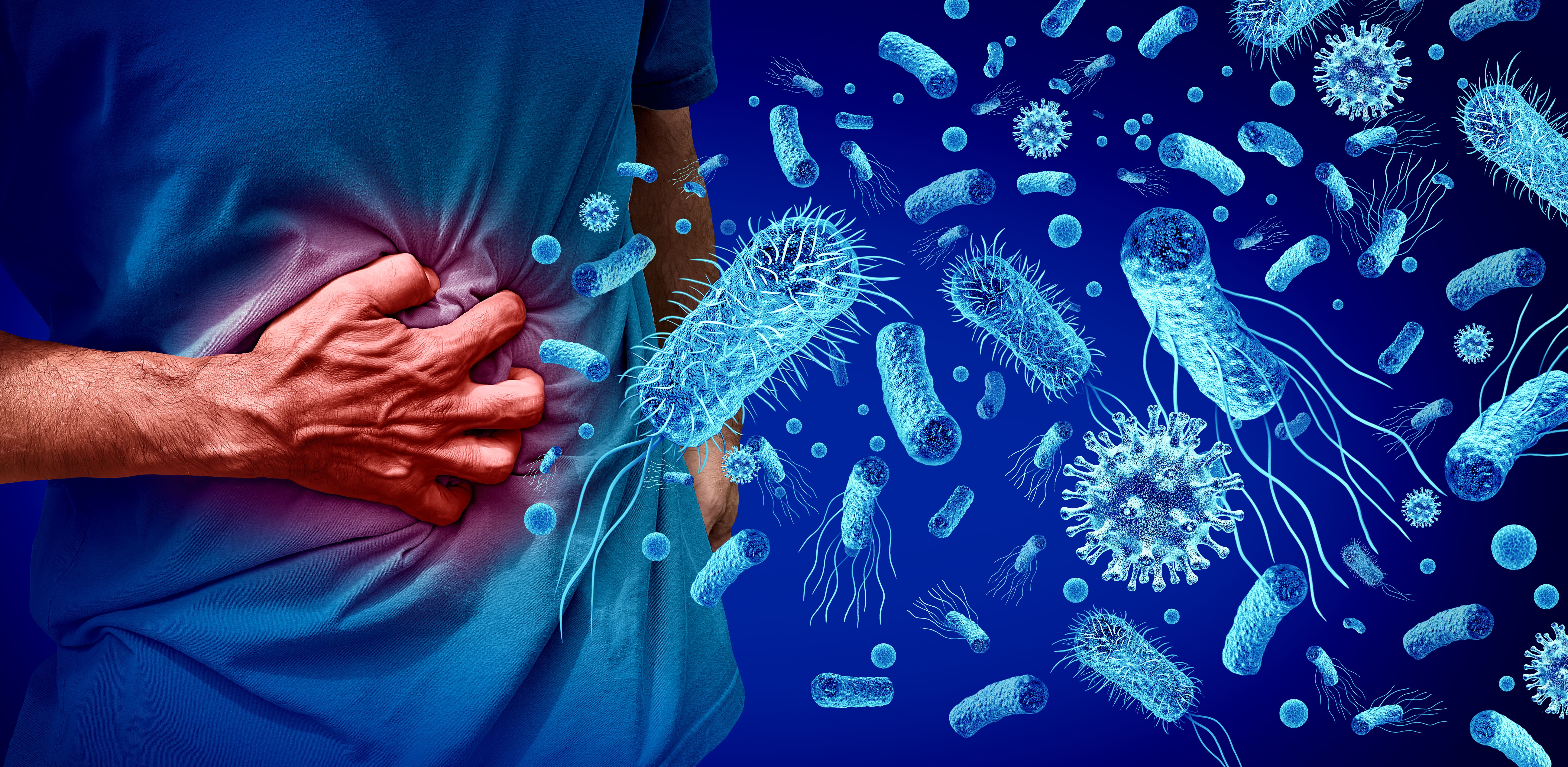 Foodborne Illness and Stomach Pains or stomachache with a painful digestive system ache as an abdominal illness or stomach infection | Image Credit: © freshidea - stock.adobe.com