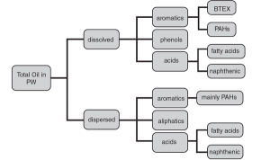Profiling Free Naphthenic Acids in Produced Water Using Gas Chromatography Coupled to High Resolution Accurate Mass Spectrometry