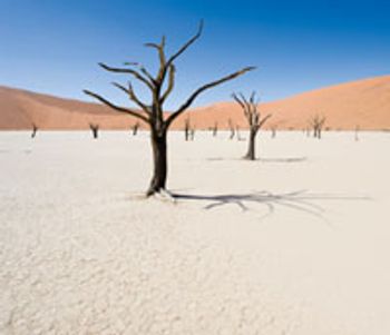 saltdesert-757852-1408611641505.jpg
