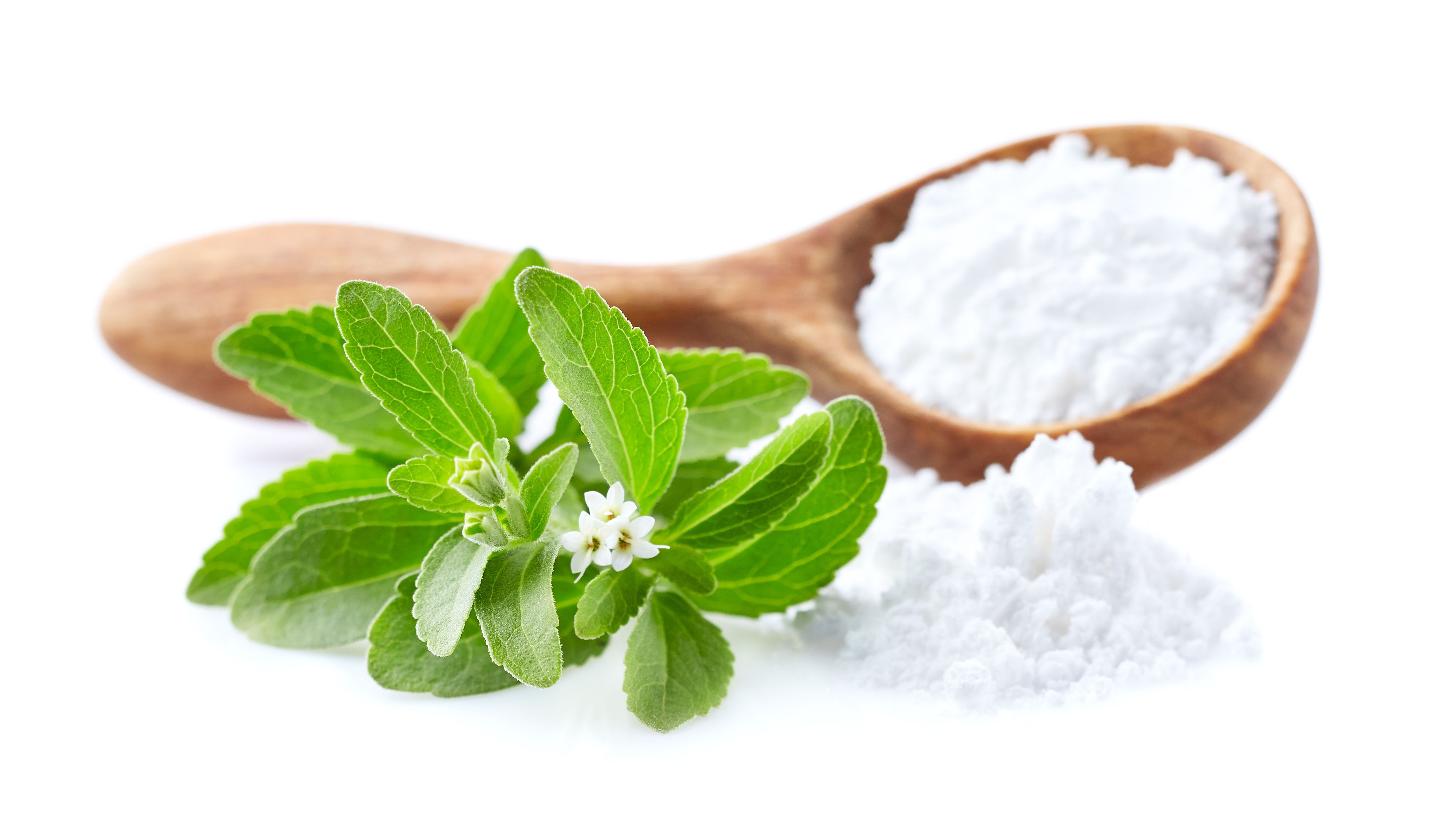 Rapid Tissue Culture and UPLC-MS/MS Analysis for Stevia Glycoside Production