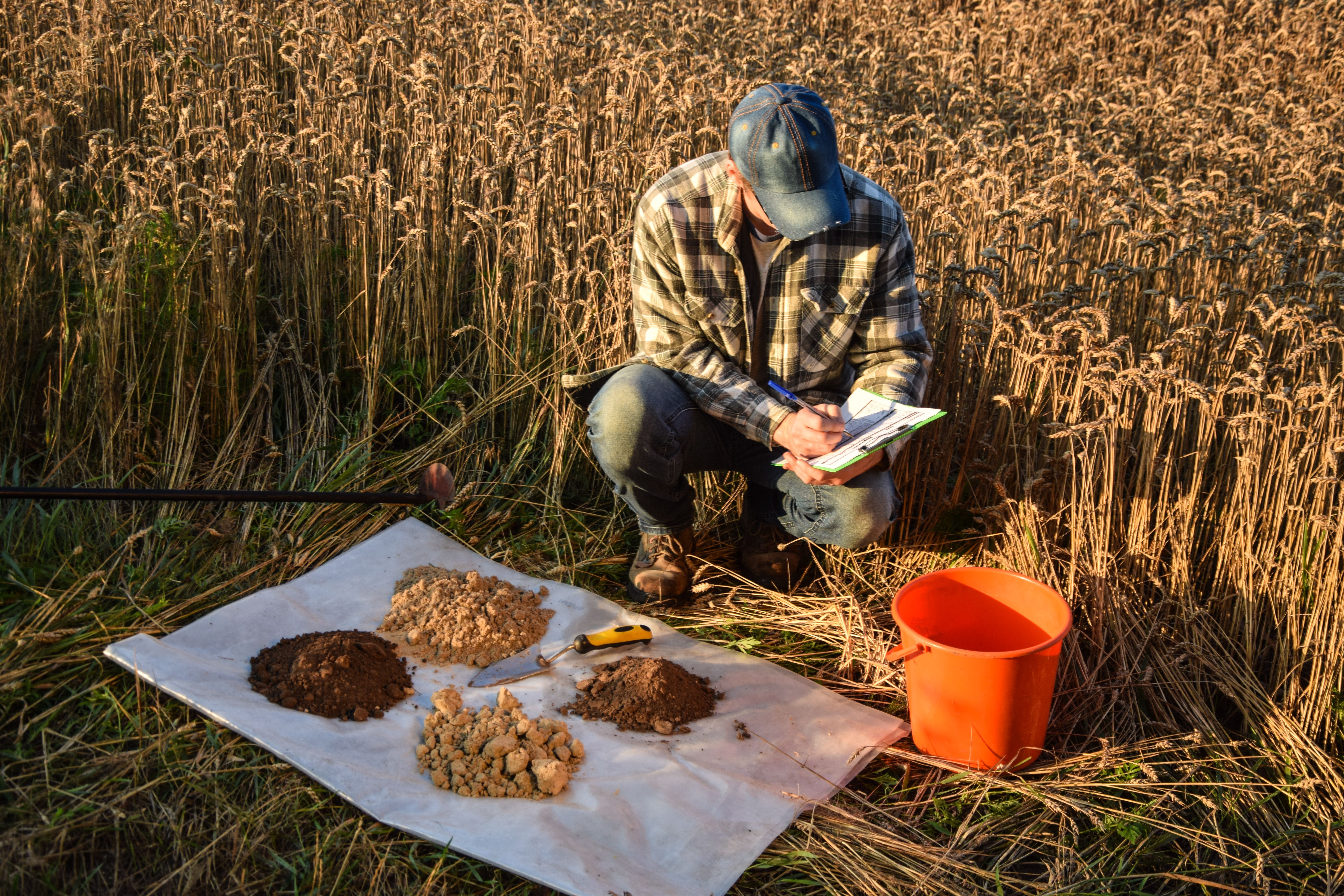 Male agronomist preparing soil samples for laboratory analysis, writing in information sheet outdoors at sunrise. Man farmer taking notes in form, working at field. Soil certification See Less | Image Credit: © AlDa.videophoto - stock.adobe.com