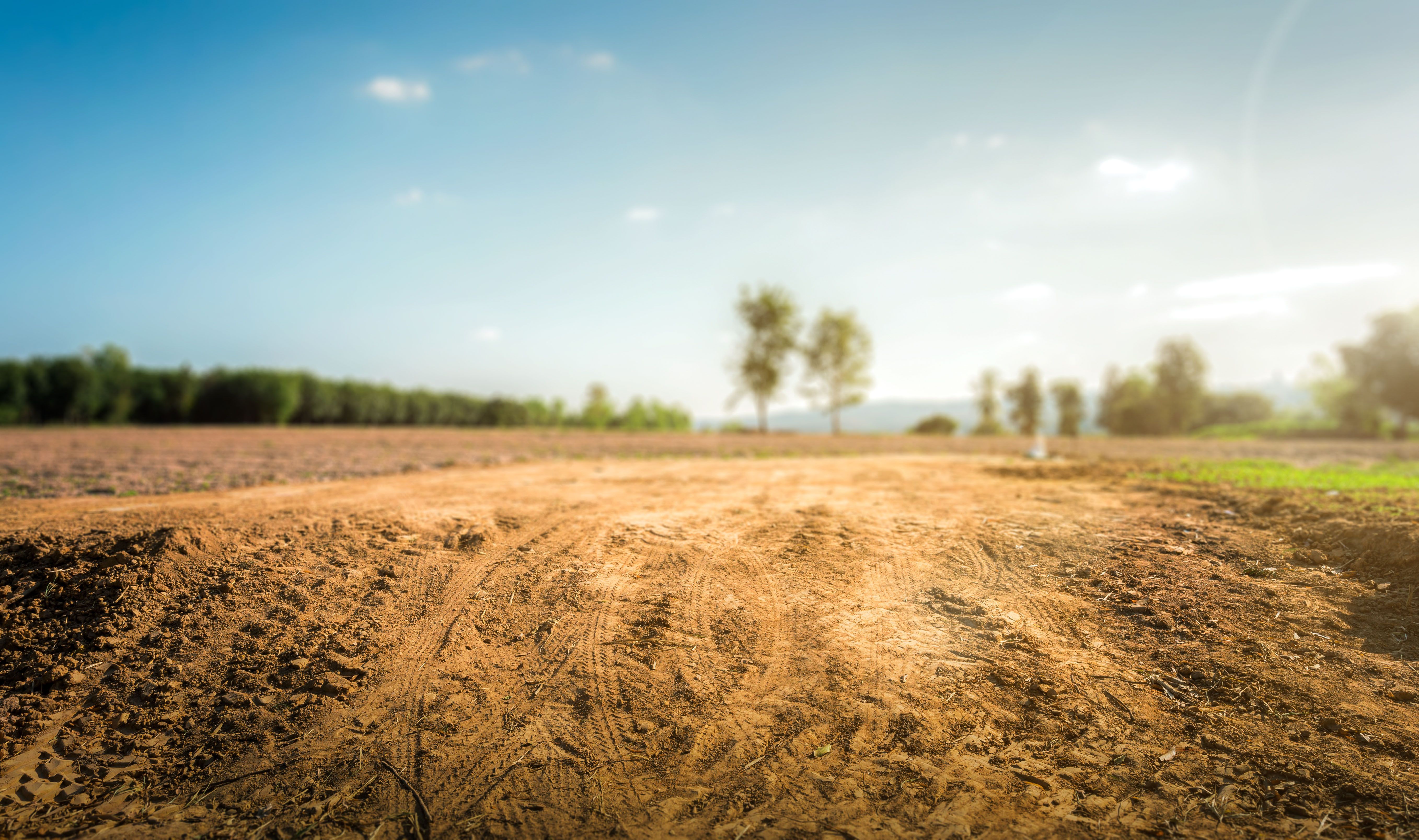 Empty dry cracked swamp reclamation soil, land plot for housing construction project with car tire print in rural area and beautiful blue sky with fresh air land for sales landscape concept. | Image Credit: © Puttachat - stock.adobe.com.