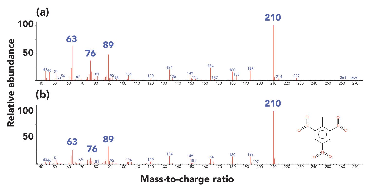 fig1L.jpg