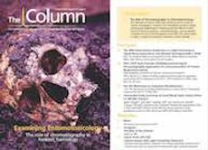 The Column-04-09-2019