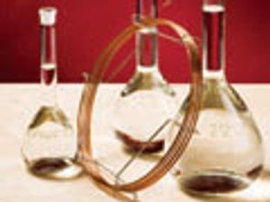 Quantification of Total w-6 and w-3 Fatty Acids and w-6/w-3 Ratio in Human Serum Using GC-MS