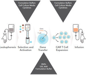 Physicochemical Methods for Vectors and Ancillary Materials in Cellular and Gene Therapies 