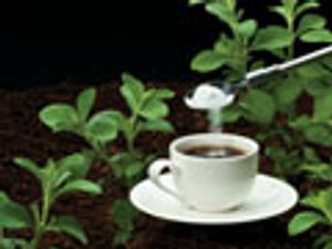 Establishing USP Rebaudioside A and Stevioside Reference Standards for the Food Chemicals Codex