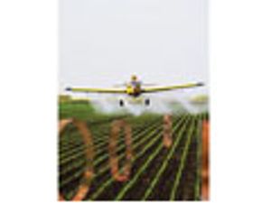 A Practical Method for Trace Level Analysis of Chlorinated Organic Pesticides by Gas Chromatography–Mass Spectrometry