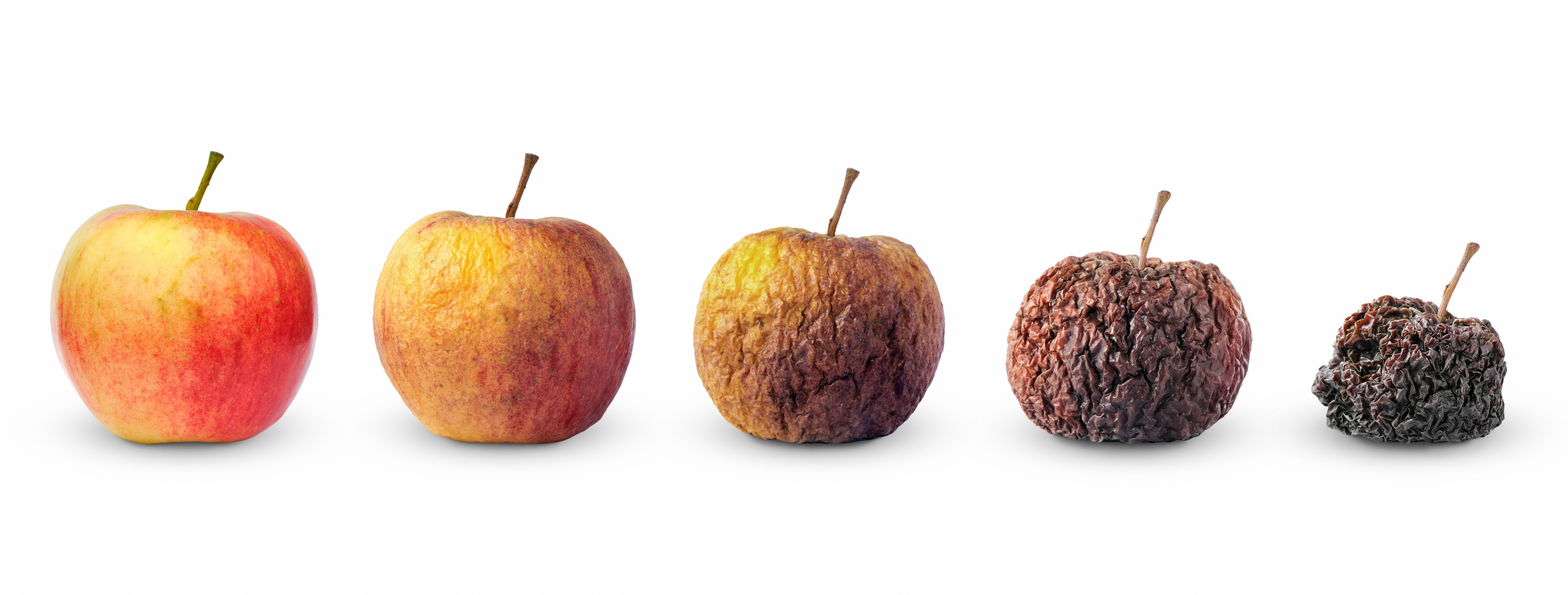 Life circle of apple fruit from fresh to rotten isolated on white background | Image Credit: © BOOCYS - stock.adobe.com
