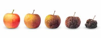 Life circle of apple fruit from fresh to rotten isolated on white background | Image Credit: © BOOCYS - stock.adobe.com