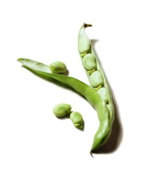 Fava_Bean-820287-1408537553458.jpg