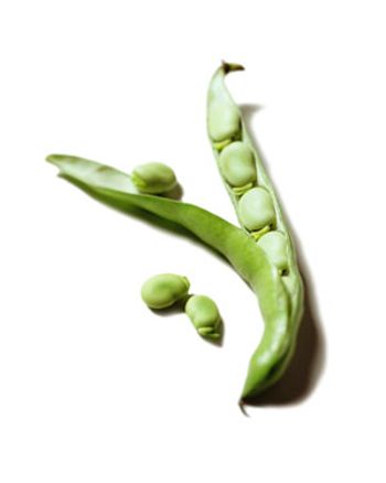 Fava_Bean-820287-1408537553458.jpg