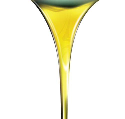 Olive Oil Quality and Authenticity: Recent Improvements in Sample  Preparation and GC–FID Analysis