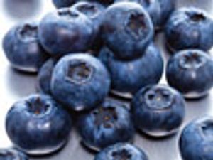 Improving HPLC Separation of Polyphenols