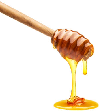 Honey dripping from dipper: © phive2015 - stock.adobe.com