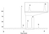 The Development And Applications Of Plot Columns In Gas Solid Chromatography