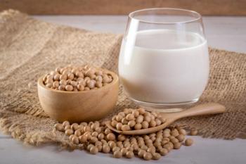 UHPLC–QTOF-MS Tracks Fats Behind Soymilk's Odor