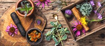 set healthy herbs | Image Credit: © nikolaydonetsk - stock.adobe.com