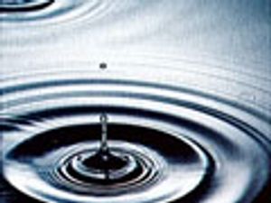 Recent Developments in Ion-Exchange Columns for Inorganic Ions and Low Molecular Weight Ionizable Molecules