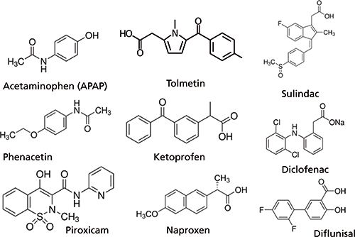 Fast Screening Methods for Analgesics and Non-Steroidal Anti ...