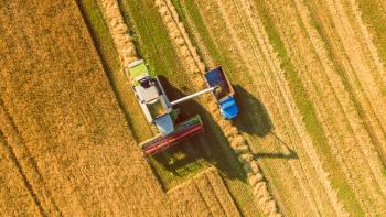 Harvester machine working in field. Combine harvester agriculture machine harvesting golden ripe wheat field. Agriculture. Aerial view. From above. | Image Credit: © LALSSTOCK - stock.adobe.com.