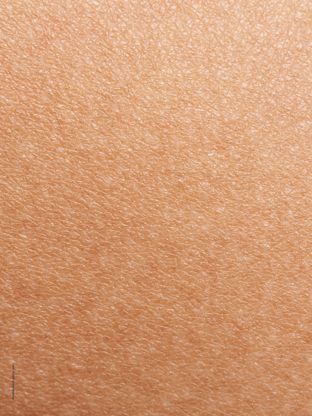 Image Credit: © PixieMe - stock.adobe.com