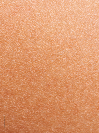 Image Credit: © PixieMe - stock.adobe.com