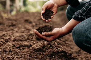 Hand of farmer inspecting soil health before planting in organic farm. Soil quality Agriculture, gardening concept. | Image Credit: © Kannapat - stock.adobe.com