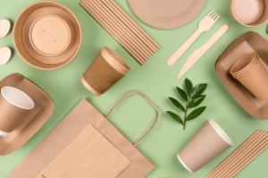 Eco-friendly tableware - kraft paper food packaging on light green background. Street food paper packaging, recyclable paperware, zero waste packaging concept. Flat lay | Image Credit: © Iryna Mylinska - stock.adobe.com