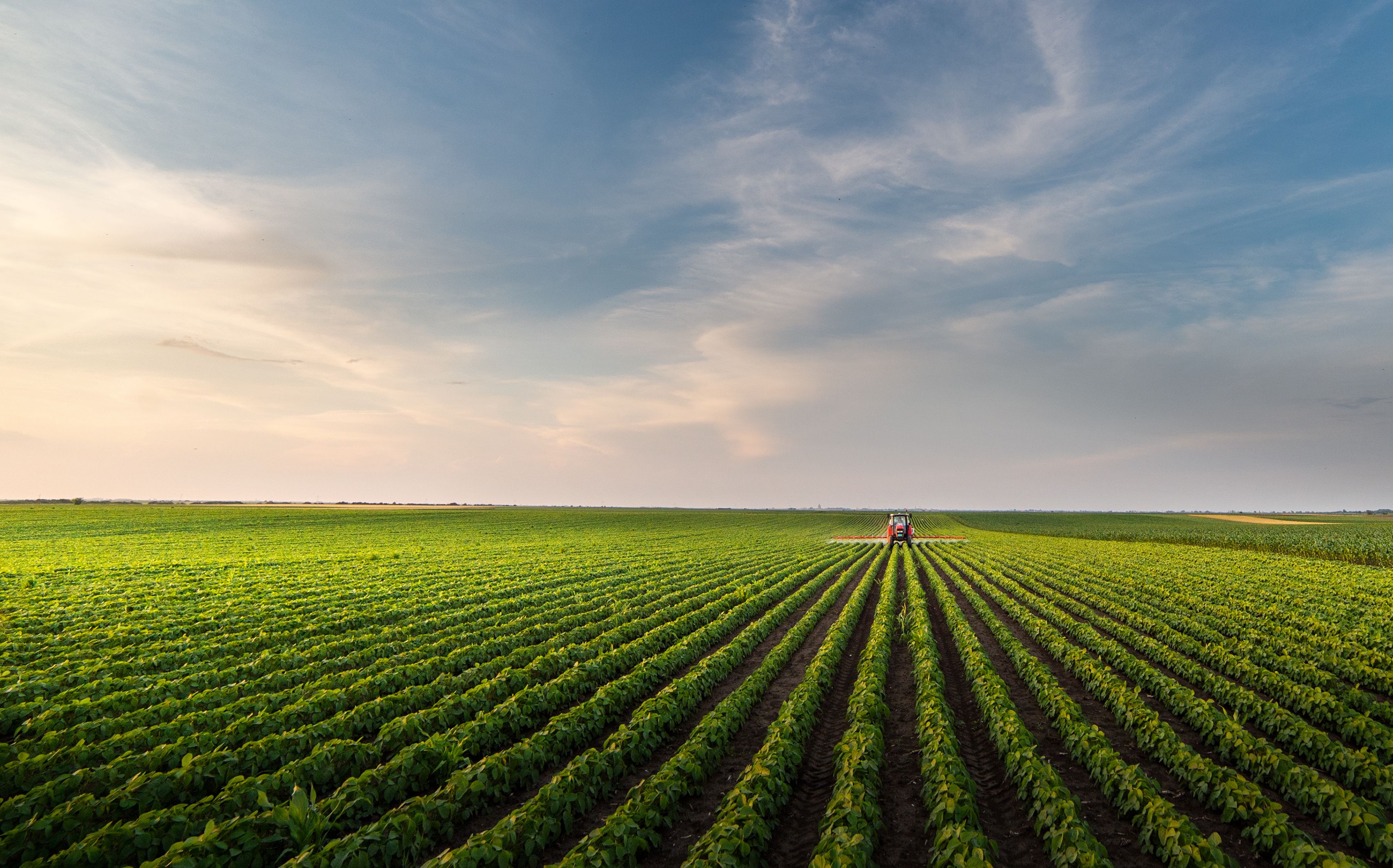 Tractor spraying soybean field in sunset | Image Credit: © Dusan Kostic - stock.adobe.com