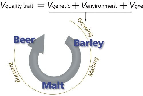 MSPA_Figure-1_web.jpg