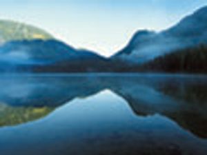 Enantiomer and Topoisomer Separation of Acidic Compounds on Anion-Exchanger Chiral Stationary Phases by HPLC and SFC